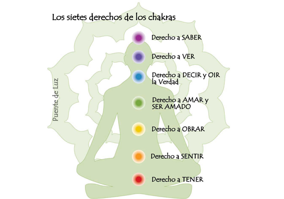Reiki es una técnica de canalización y transmisión de energía vital a través de las manos que armoniza al ser humano a nivel físico, mental y emocional. Esa energía vital puede ser aplicada también a seres del reino animal, vegetal y mineral. Canalización significa que la energía es conducida a través de un canal y transmisión significa que esa energía se transmite, se transfiere, se pasa a otros o a uno mismo. 